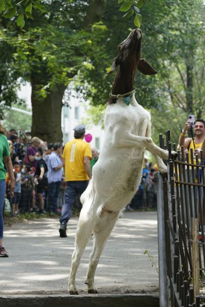 image - 2021-10-17T204106.516