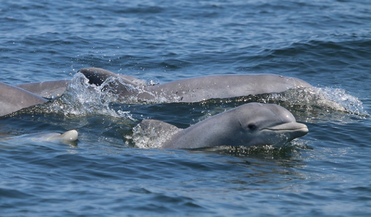 image - 2021-10-25T082647.608