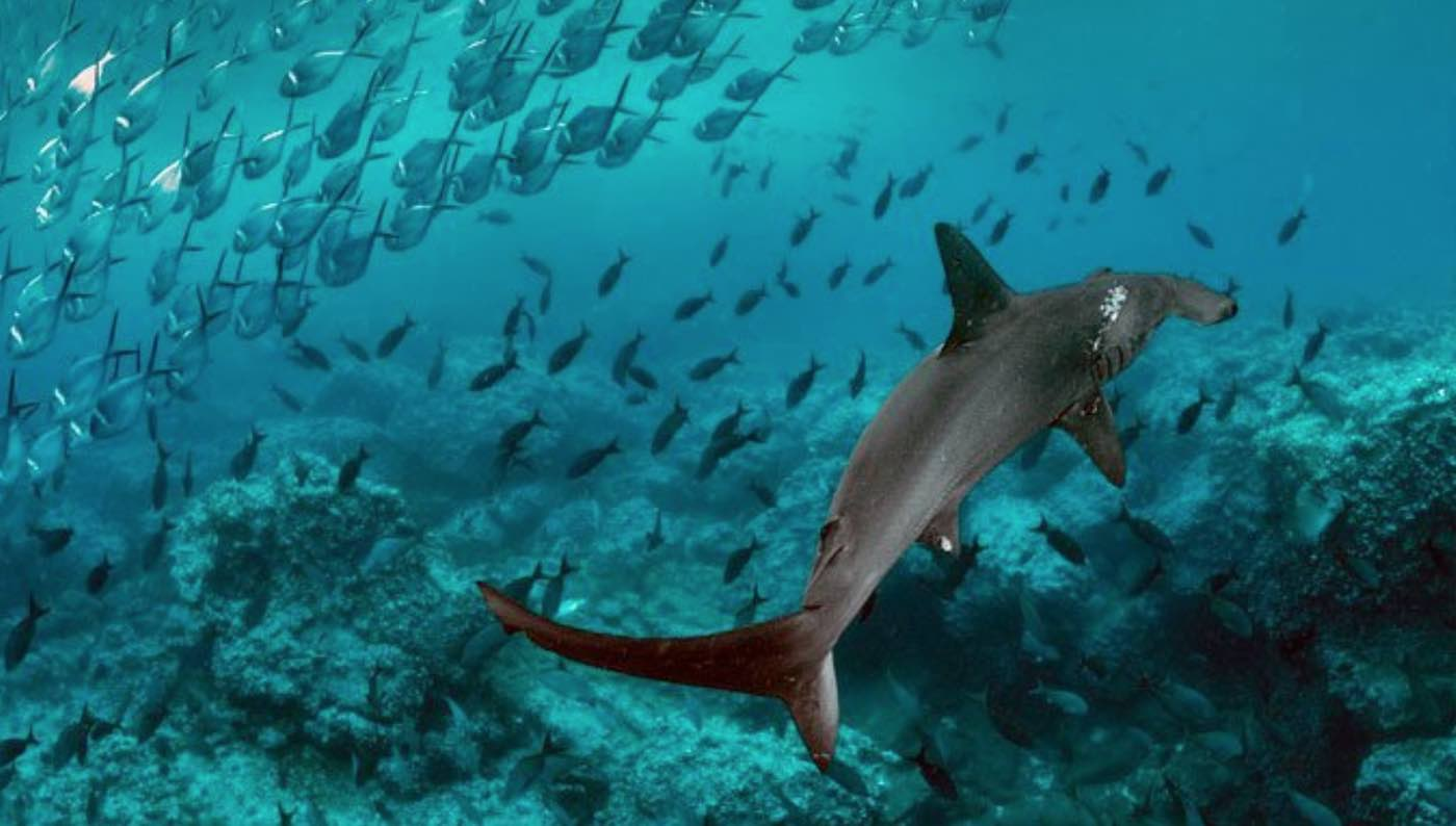 image - 2021-11-14T224105.765