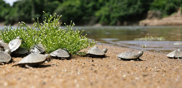 image - 2021-12-12T202212.416